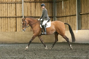 Isis Dressage Crown Farm Show 29th April 2012